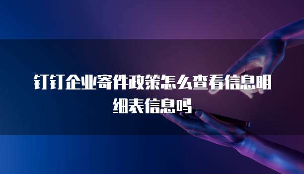钉钉企业寄件政策怎么查看信息明细表信息吗