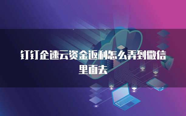 钉钉企速云资金返利怎么弄到微信里面去