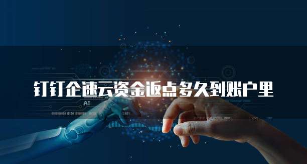 钉钉企速云资金返点多久到账户里