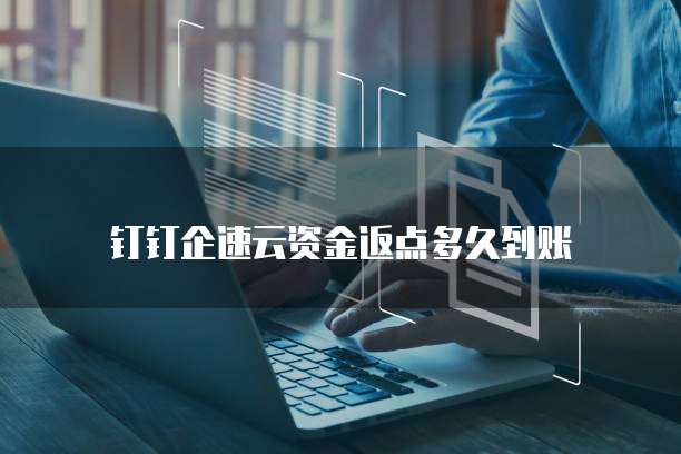 钉钉企速云资金返点多久到账