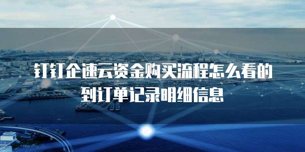 钉钉企速云资金购买流程怎么看的到订单记录明细信息