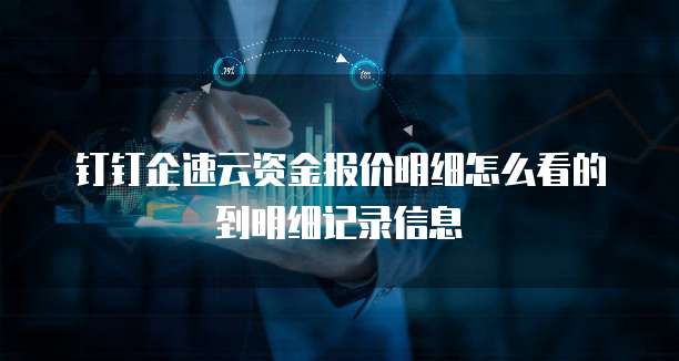 钉钉企速云资金报价明细怎么看的到明细记录信息