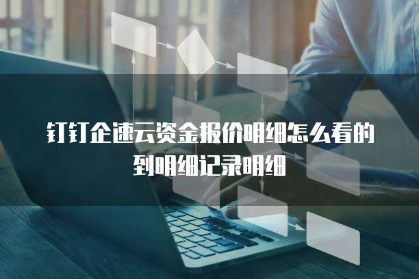 钉钉企速云资金报价明细怎么看的到明细记录明细