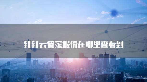 钉钉云管家报价在哪里查看到