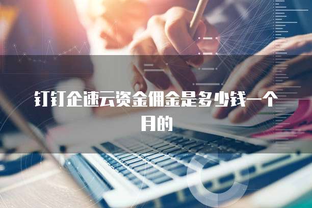 钉钉企速云资金佣金是多少钱一个月的