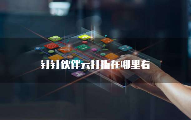 钉钉伙伴云打折在哪里看