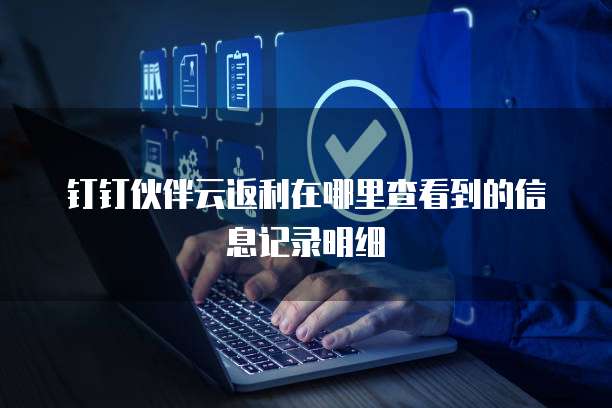 钉钉伙伴云返利在哪里查看到的信息记录明细