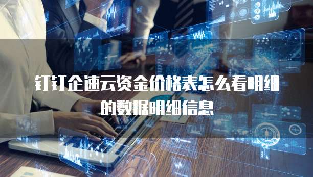 钉钉企速云资金价格表怎么看明细的数据明细信息