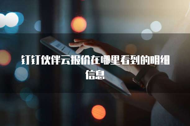 钉钉伙伴云报价在哪里看到的明细信息