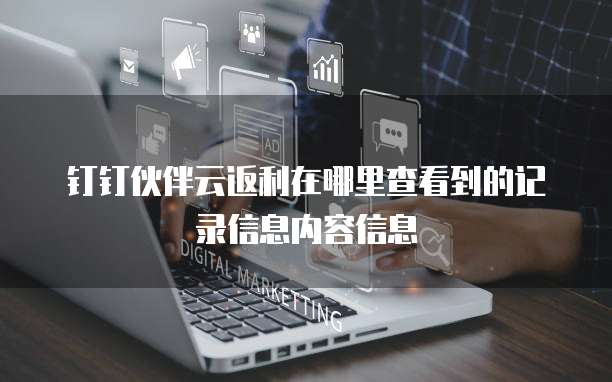 钉钉伙伴云返利在哪里查看到的记录信息内容信息