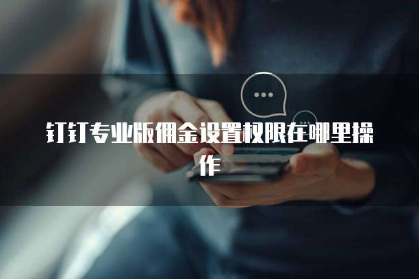 钉钉专业版佣金设置权限在哪里操作