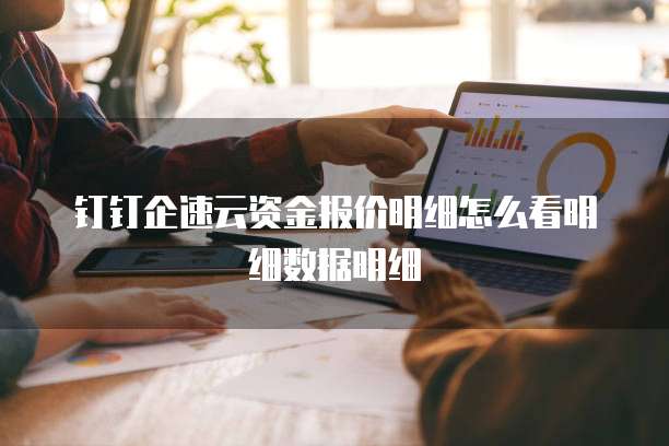 钉钉企速云资金报价明细怎么看明细数据明细