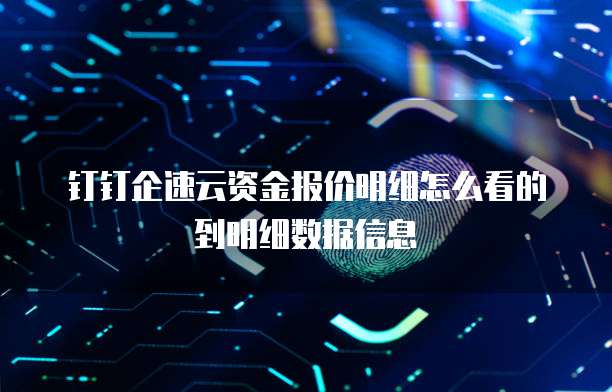 钉钉企速云资金报价明细怎么看的到明细数据信息