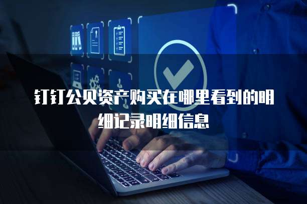 钉钉公贝资产购买在哪里看到的明细记录明细信息