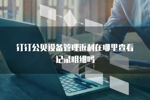 钉钉公贝设备管理返利在哪里查看记录明细吗
