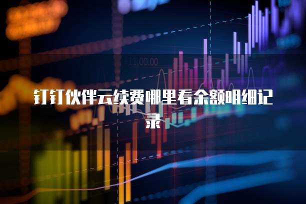 钉钉伙伴云续费哪里看余额明细记录