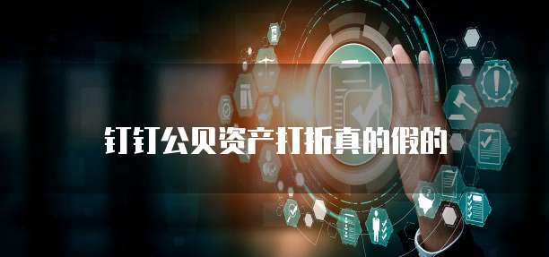 钉钉公贝资产打折真的假的