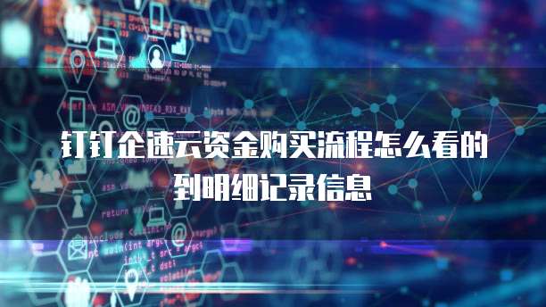 钉钉企速云资金购买流程怎么看的到明细记录信息