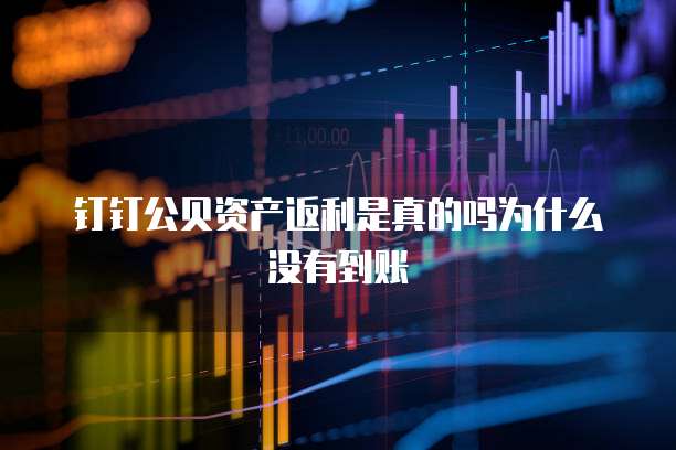 钉钉公贝资产返利是真的吗为什么没有到账