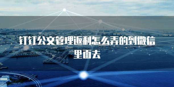 钉钉公文管理返利怎么弄的到微信里面去