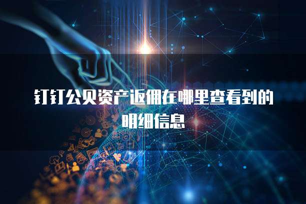 钉钉公贝资产返佣在哪里查看到的明细信息