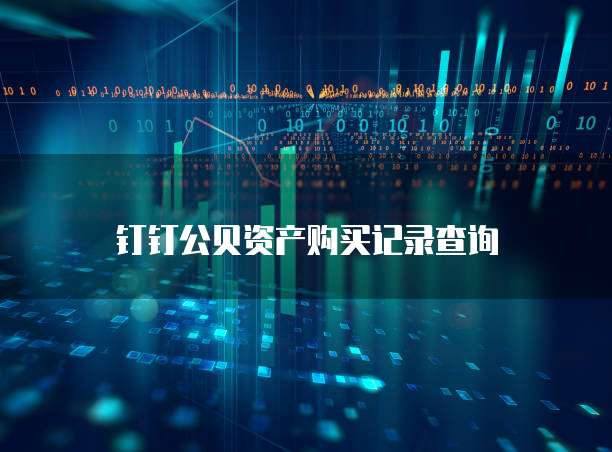钉钉公贝资产购买记录查询
