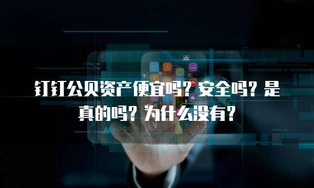 钉钉公贝资产便宜吗？安全吗？是真的吗？为什么没有？