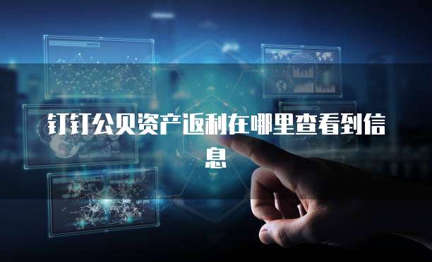钉钉公贝资产返利在哪里查看到信息