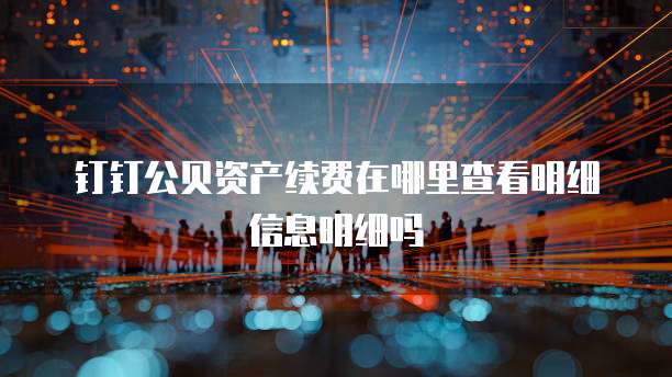 钉钉公贝资产续费在哪里查看明细信息明细吗