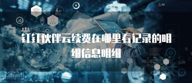 钉钉伙伴云续费在哪里看记录的明细信息明细