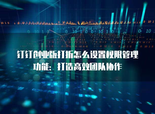 钉钉创业版打折怎么设置权限管理功能：打造高效团队协作