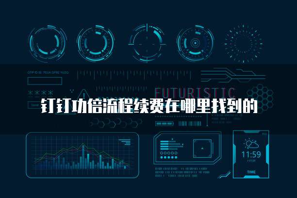 钉钉功倍流程续费在哪里找到的