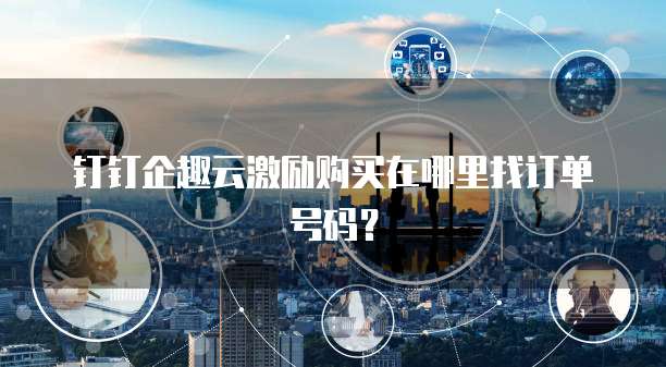钉钉企趣云激励购买在哪里找订单号码?