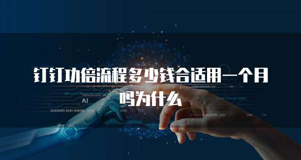 钉钉功倍流程多少钱合适用一个月吗为什么