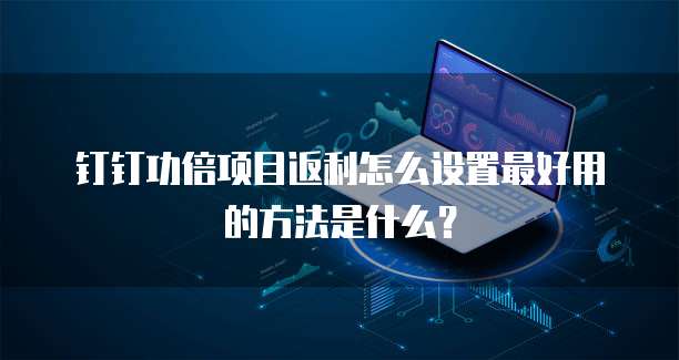 钉钉功倍项目返利怎么设置最好用的方法是什么？
