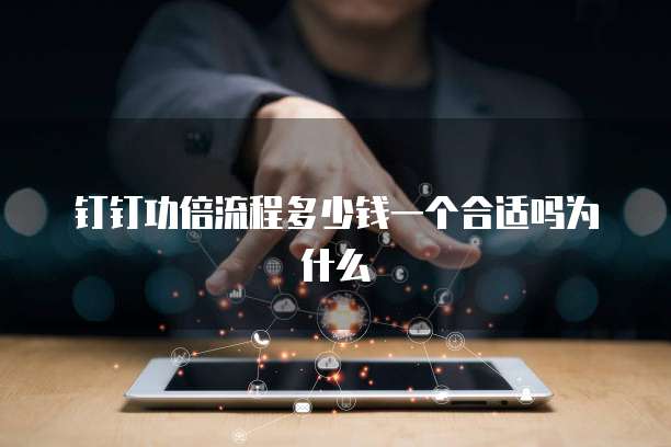钉钉功倍流程多少钱一个合适吗为什么