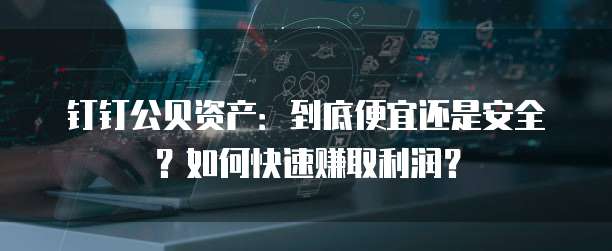 钉钉公贝资产:到底便宜还是安全?如何快速赚取利润?
