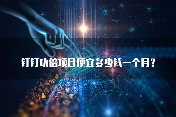 钉钉功倍项目便宜多少钱一个月？