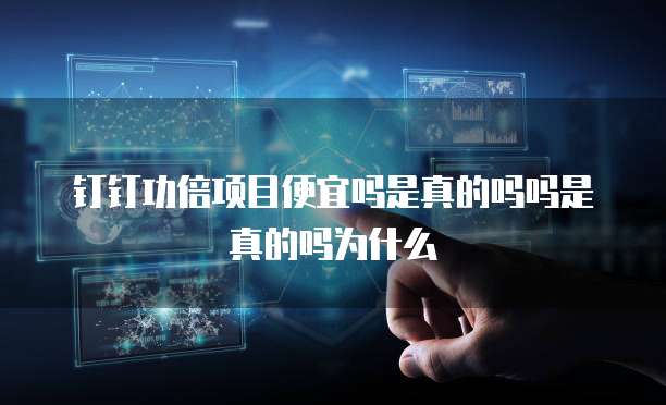 钉钉功倍项目便宜吗是真的吗吗是真的吗为什么