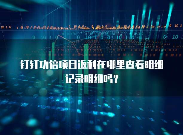 钉钉功倍项目返利在哪里查看明细记录明细吗？