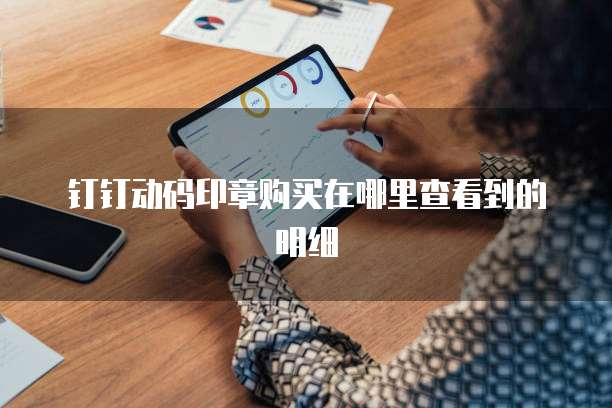 钉钉动码印章购买在哪里查看到的明细