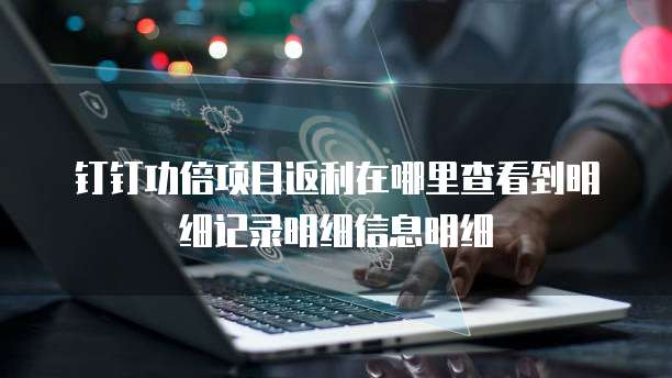 钉钉功倍项目返利在哪里查看到明细记录明细信息明细