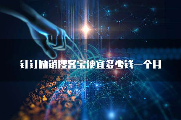 钉钉励销搜客宝便宜多少钱一个月