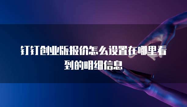 钉钉创业版报价怎么设置在哪里看到的明细信息