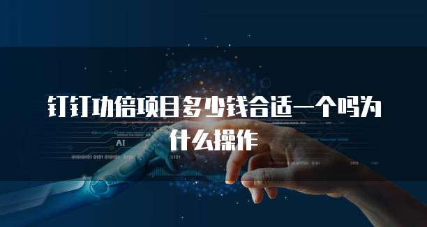 钉钉功倍项目多少钱合适一个吗为什么操作