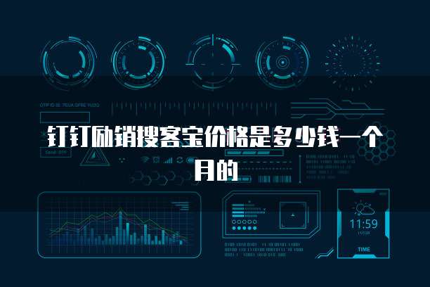 钉钉励销搜客宝价格是多少钱一个月的