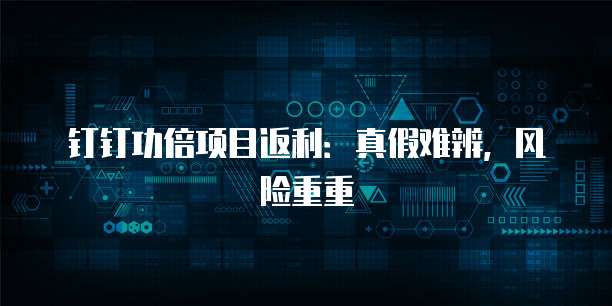 钉钉功倍项目返利:真假难辨,风险重重