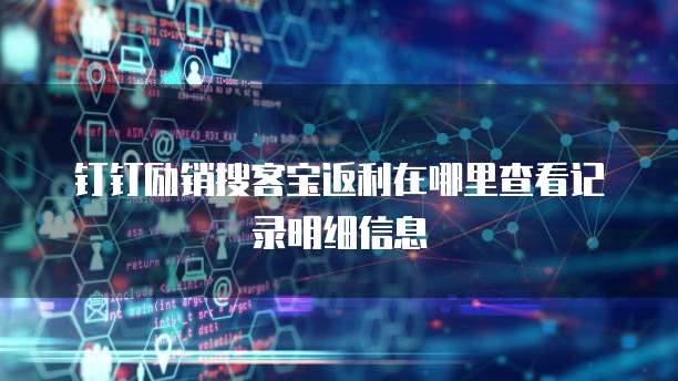 钉钉励销搜客宝返利在哪里查看记录明细信息