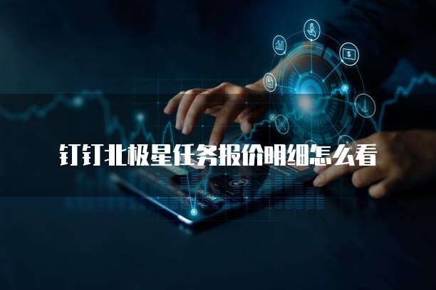钉钉北极星任务报价明细怎么看