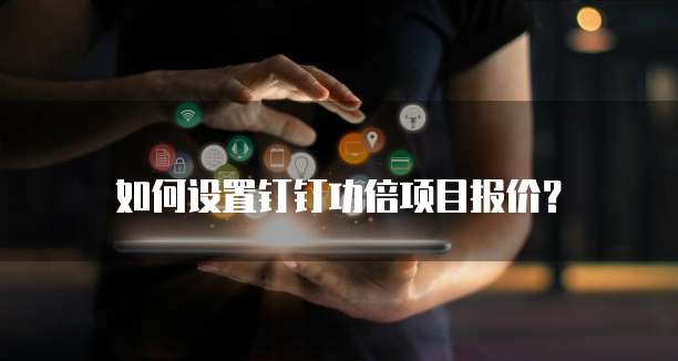 如何设置钉钉功倍项目报价？